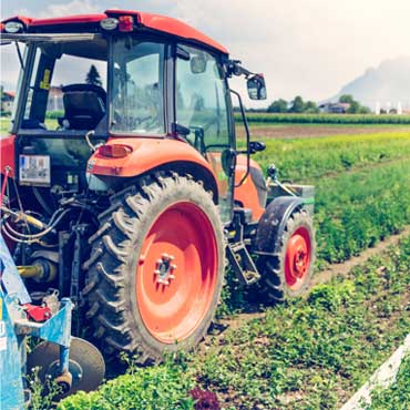 Travaux agricoles - Polonio JM